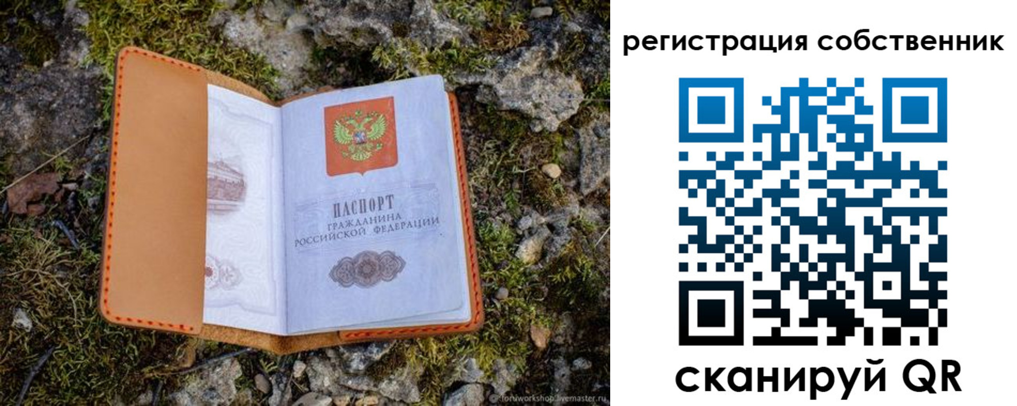 прописка поиск в Оренбургской области